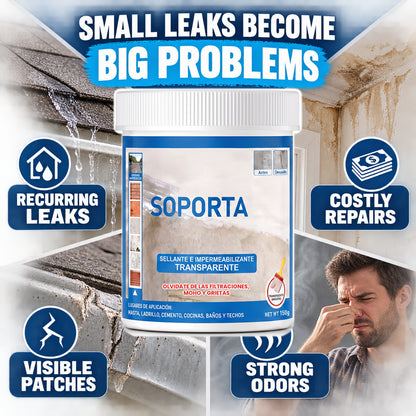 Protect More Trouble Spots | Clear Waterproof Repair Coating 🏡💧🛠️