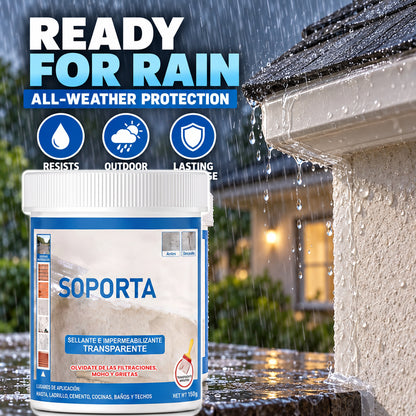 Protect More Trouble Spots | Clear Waterproof Repair Coating 🏡💧🛠️