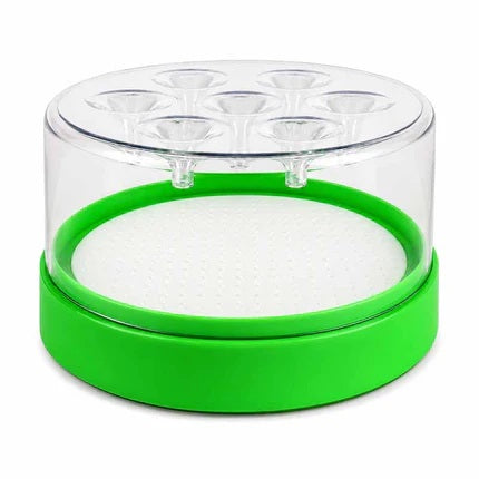 50%OFF Today ⚡🌿🪰Chemical-Free Reusable Non-Electric Fly Trap for Kitchen & Patio（offer）