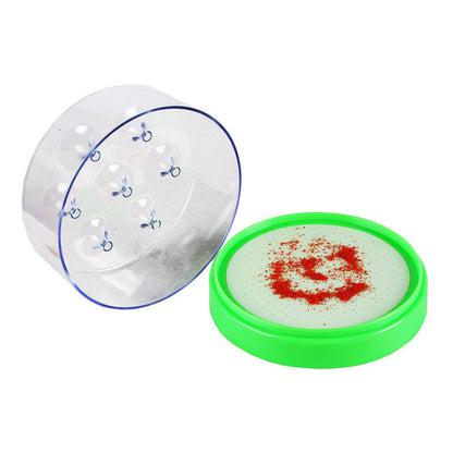 50%OFF Today ⚡🌿🪰Chemical-Free Reusable Non-Electric Fly Trap for Kitchen & Patio