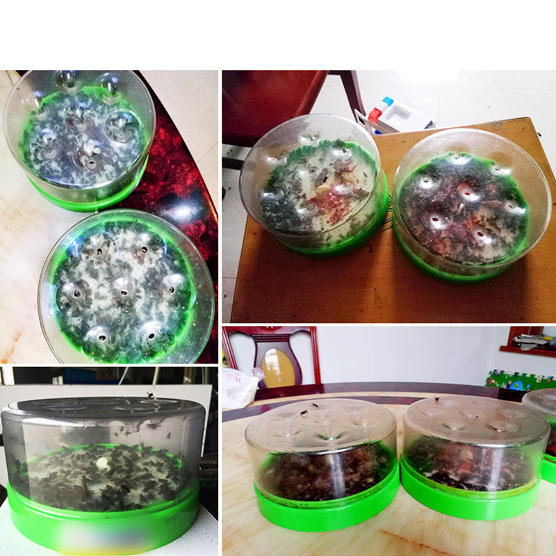 50%OFF Today ⚡🌿🪰Chemical-Free Reusable Non-Electric Fly Trap for Kitchen & Patio